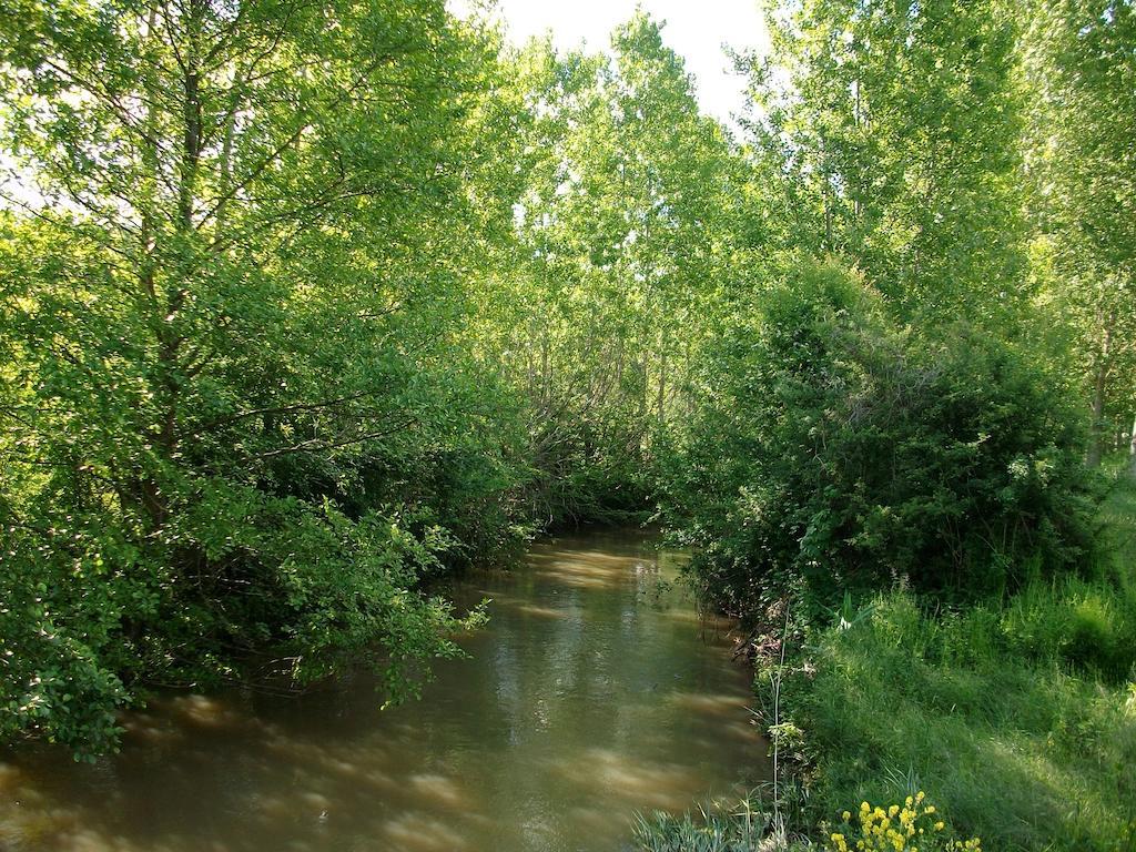 La Cle Des Chants Tauxigny Dış mekan fotoğraf