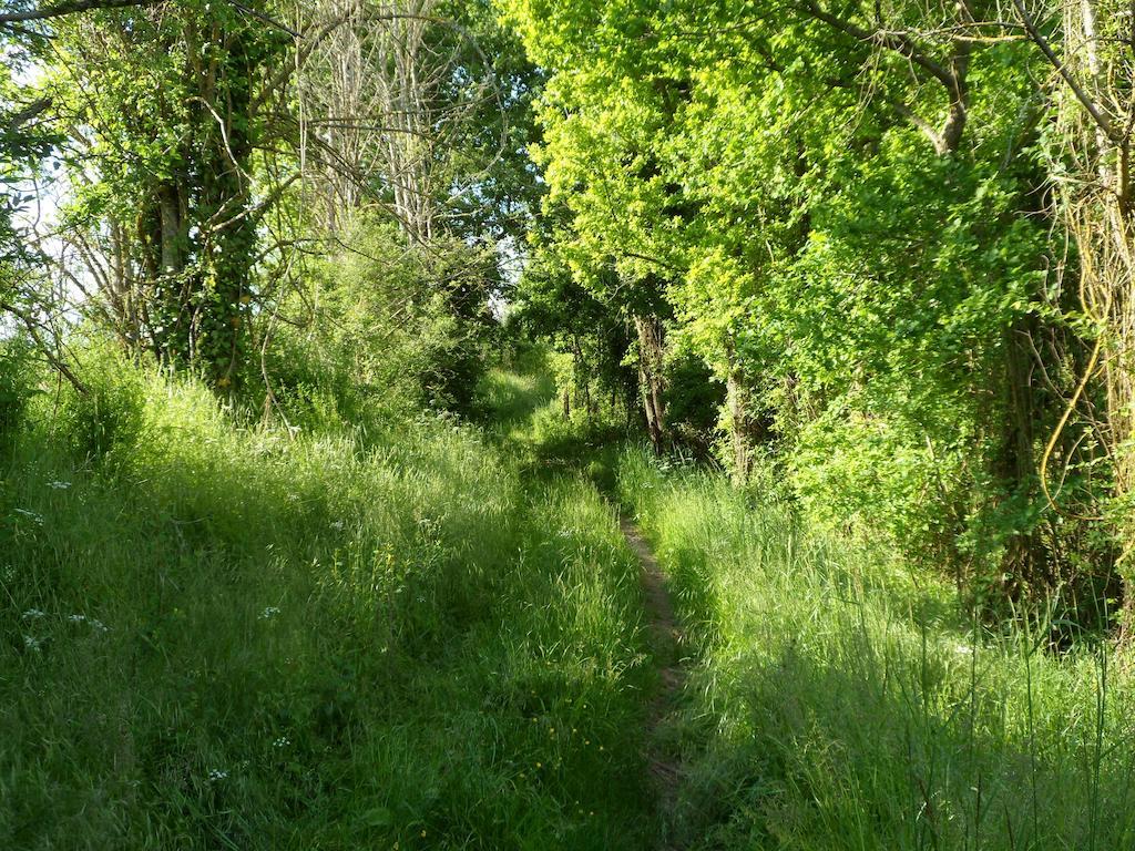 La Cle Des Chants Tauxigny Dış mekan fotoğraf